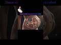 Baby Kicks Inside the Womb | Realistic Fetal Movements #Real Fetal Movement Inside Mother’s Womb