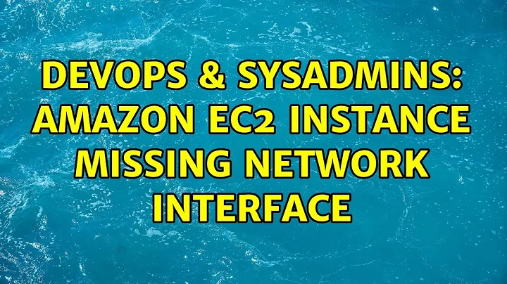 DevOps & SysAdmins: Amazon EC2 instance missing Network Interface