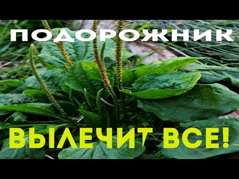 Как вылечить плеврит уделяя всего 12 минут в день в домашних условиях