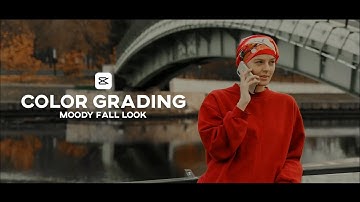 Capcut Color Grading | Moody Fall Look | Tutorial | For Free