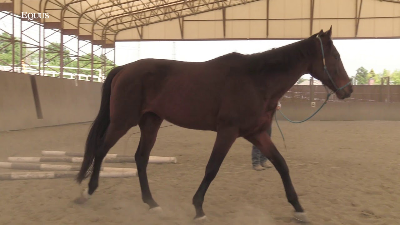 セールスフォース_身体感覚の覚醒