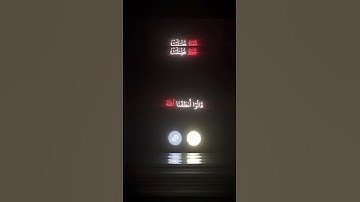 وقالو لجلودهم لما شهتم علينا / ياسر الدوسري / سورة فصلت / قران كريم