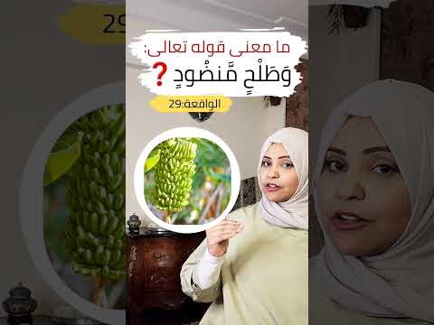 مامعنى قوله تعالى و ط ل ح م نض ود ايناس الخطيب سورة الواقعة التفسير