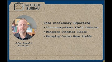 3. Data Dictionary Aware Field Management in Salesforce
