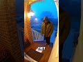 The Mystery Envelope: CCTV Captured Something Beautiful🥰#shorts #trending #cctv #help