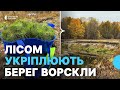 19 тисяч нових дерев: на Полтавщині висаджують ліс біля Ворскли