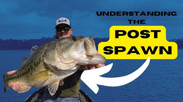 THIS Is How To Find BIG POST-SPAWN Bass!!  (Most Anglers Over-Complicate THIS Period)