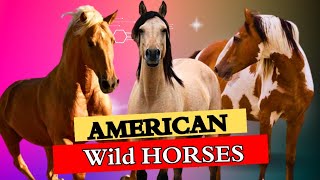 Wild & Free: The Incredible Lives of American Wild Horses Revealed #equestrian by Pups & Pets 52 views 8 months ago 4 minutes, 10 seconds