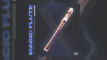 Dravek - Magic Flute