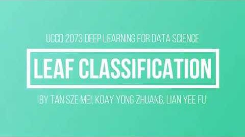 Leaf Classification Application - Deep Learning Presentation Video