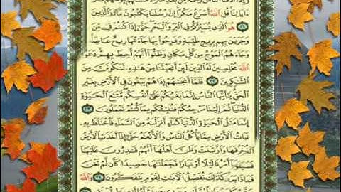 القران الكريم سورة يونس من الاية 21 الى الاية 33