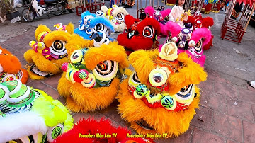 Múa Lân Khai Quang Điểm Nhãn Lân Sư Rồng Tết 2025 đoàn LSR Khải Thắng cúng Chùa Ông TP. Phan Rang