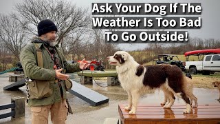 Bad Weather Provides Great Dog Training Opportunities! by Stonnie Dennis 9,438 views 3 months ago 5 minutes, 6 seconds