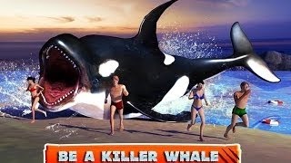 Killer Whale Beach Attack 3D - Android Gameplay HD Video screenshot 5