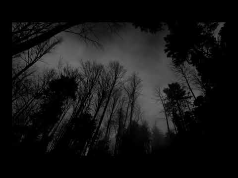 უაზრო ცხოვრების მუქი ფერები