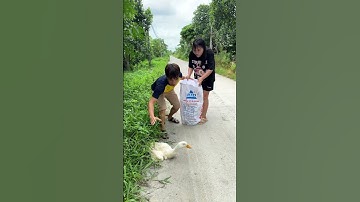 Con vịt này số hên quá | Crazy funny couple 😝😝| Kem Family Shorts #shorts