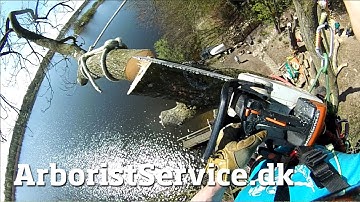 Big Tree Removal over Lake House - Tree Climbing Arborist - Tree Rigging Techniques