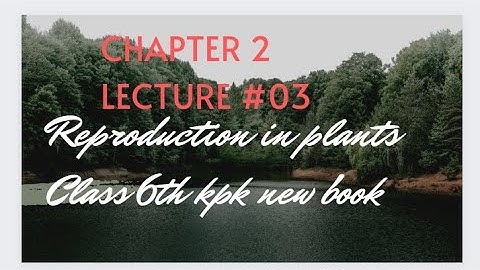 Artificial vegetative propagation/class 6th/kpk new book general science/chapter 2