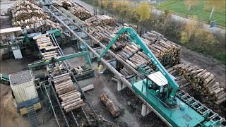 Das Sägewerk Koddenbrock - vom Rundholz  bis zum fertigen Produkt.