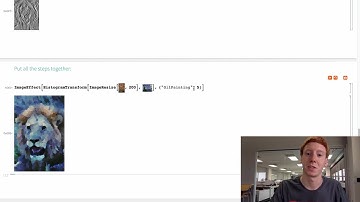Wolfram Programming Lab: Photo Effects Exploration