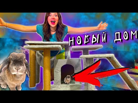 Собираем БОЛЬШОЙ ДОМ для КРОЛИКА в КОМНАТУ ПИТОМЦЕВ | Elli Di Pets