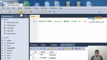 الدرس الثالث والعشرون : حذف صفوف بإستخدام DELETE و WHERE