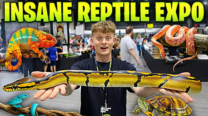 I SPENT 3,000$ AT THIS REPTILE EXPO! *INSANE*