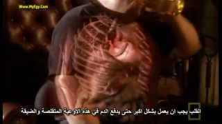 Inside The Living Body ( FULL MOVIE ) مترجم للعربيه