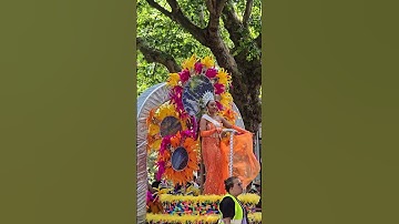 Zomercarnaval 2025 - "Het leven is een carnaval"