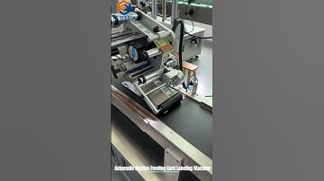 FK812 Suction Feeding Card Labeling Machine