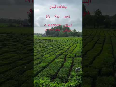 گیلان فومن قلعه رودخان ویلا زمین باغ