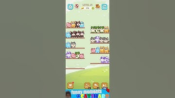 Cat Sort Puzzle Level 51