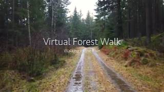Virtual Forest Rain Walk umbrella Binaural 3d Rain Sounds Asmr 4k