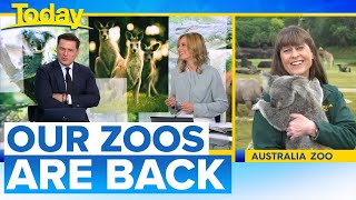 Terri Irwin on zoos opening, travel restrictions, COVID-19 concerns 🐊  | Today Show Australia