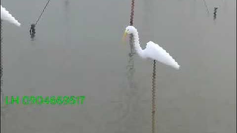 Diệc, sâm cầm, cò, vạc xốp giả. Hàng đẹp, giá rẻ, ship hàng toàn quốc.