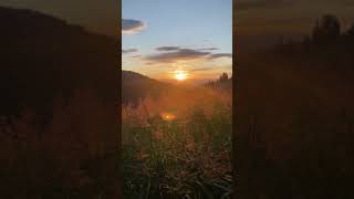 Высоко в горах Чарышского района (ч.7)! #алтай #природа #горы #отдых