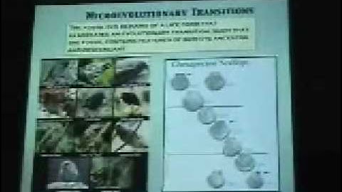 Transitional Fossils in Evolution pt. 2 of 4