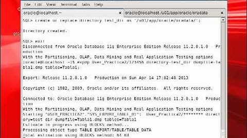 Exportar e importar Tabla Oracle 11gR2