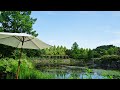 Somewhere Sometime (Rachmaninov)  白鳥英美子 軽井沢 Lake Garden バラ