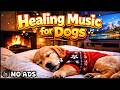 Sleep Music For Dogs And Puppies 🎶 Relax Dogs Quickly 🐾 Soothing Dog Music 😌