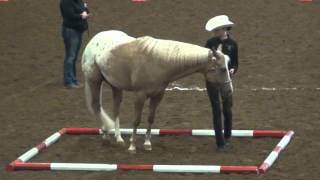 3907 Nikole Schroeder; Enumclaw