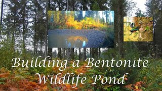Building a Bentonite Wildlife Pond