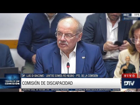 COMISIÓN COMPLETA: 24 de agosto de 2022 - DISCAPACIDAD - H. Cámara de Diputados de la Nación