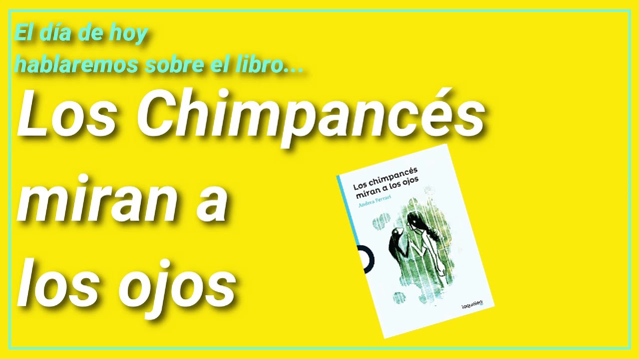 Los chimpancés miran a los ojos - VIDEO #1 - YouTube