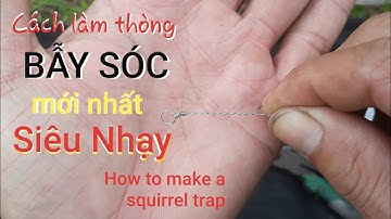 #43.Hướng dẫn chi tiết Cách làm và đặt thòng BẪY SÓC cực nhạy | squirrel trap | #QuangTVHoiAn
