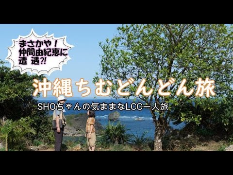 SHOちゃんの気ままなLCC一人旅シリーズ『沖縄ちむどんどん旅』あのシークワーサーの木を目指す。