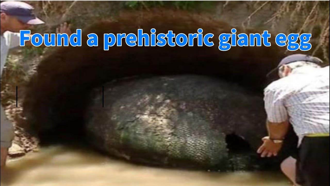 Excavator Busts Open Rock, Realizes His Mistake YouTube