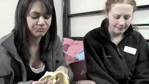 Training and Enrichment: How to Reflect