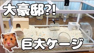 贅沢？ハムスターに巨大ケージを購入！ パンテオンWH9045 紹介【おすすめ】