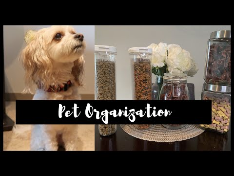 PET ORGANIZATION IDEAS|